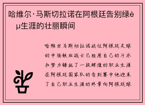 哈维尔·马斯切拉诺在阿根廷告别绿茵生涯的壮丽瞬间 哈维尔·马斯切拉诺在阿根廷告别绿茵生涯的壮丽瞬间