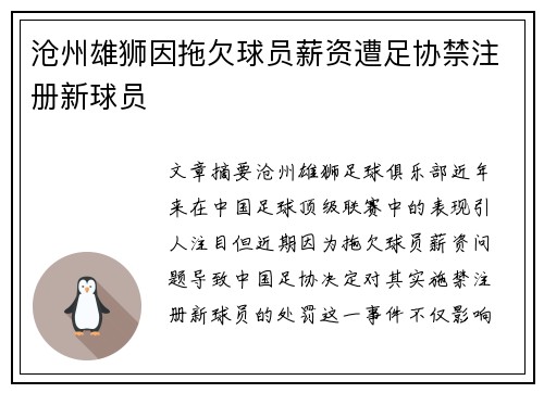 沧州雄狮因拖欠球员薪资遭足协禁注册新球员